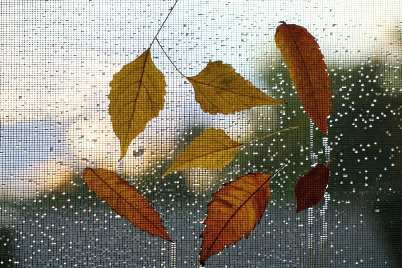 szúnyogháló készítés